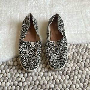 Leopard Avalon TOMS